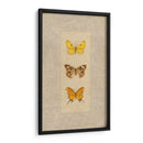 Mariposa Trio I - Wendy Russell | Cuadro decorativo de Canvas Lab