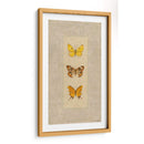 Mariposa Trio I - Wendy Russell | Cuadro decorativo de Canvas Lab