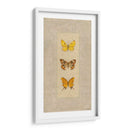 Mariposa Trio I - Wendy Russell | Cuadro decorativo de Canvas Lab