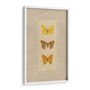 Mariposa Trio I - Wendy Russell | Cuadro decorativo de Canvas Lab