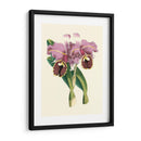 Magnífica Orquídea Ii - Vision Studio | Cuadro decorativo de Canvas Lab