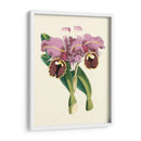 Magnífica Orquídea Ii - Vision Studio | Cuadro decorativo de Canvas Lab