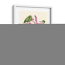 Magnífica Orquídea Iii - Vision Studio | Cuadro decorativo de Canvas Lab