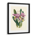 Magnífica Orquídea Iv - Vision Studio | Cuadro decorativo de Canvas Lab