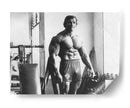 Bodybuilding Schwarzenegger | Cuadro decorativo de Canvas Lab