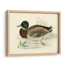 Morris Ducks I - Morris | Cuadro decorativo de Canvas Lab