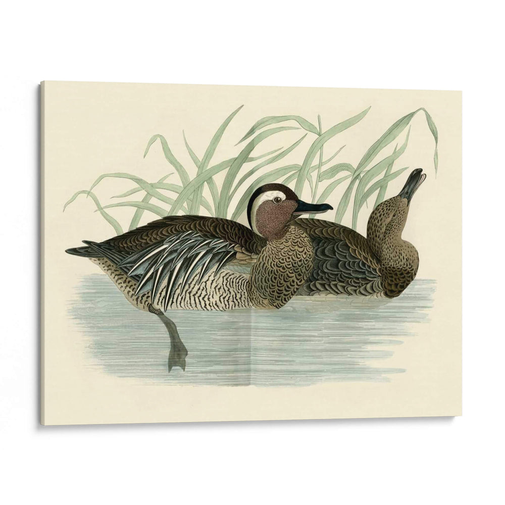 Morris Ducks Ii - Morris | Cuadro decorativo de Canvas Lab