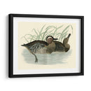 Morris Ducks Ii - Morris | Cuadro decorativo de Canvas Lab