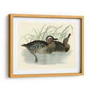 Morris Ducks Ii - Morris | Cuadro decorativo de Canvas Lab