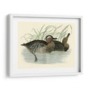 Morris Ducks Ii - Morris | Cuadro decorativo de Canvas Lab