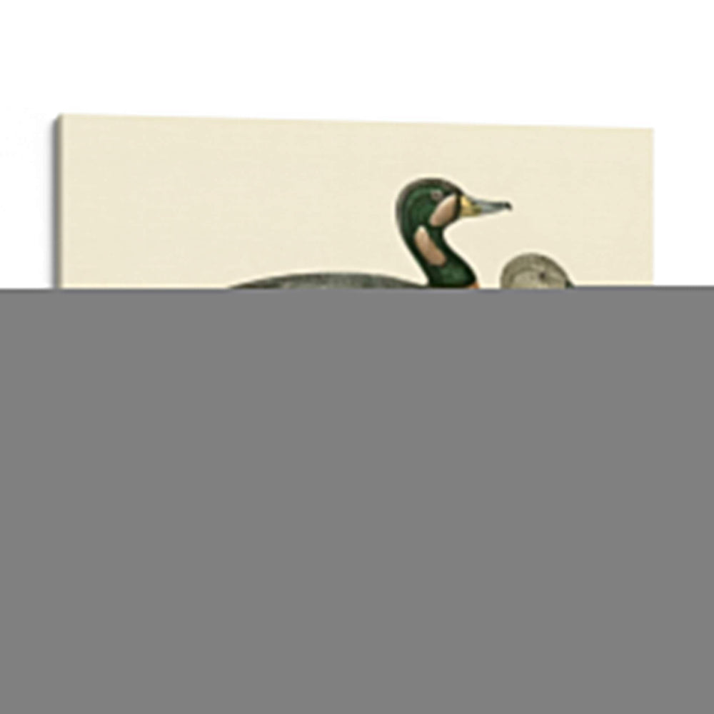 Morris Ducks Iii - Morris | Cuadro decorativo de Canvas Lab