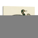 Morris Ducks Iii - Morris | Cuadro decorativo de Canvas Lab