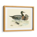 Morris Ducks Iii - Morris | Cuadro decorativo de Canvas Lab