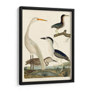 Familia Heron Ii - A. Wilson | Cuadro decorativo de Canvas Lab