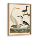 Familia Heron Ii - A. Wilson | Cuadro decorativo de Canvas Lab