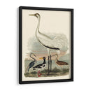 Familia Heron Iii - A. Wilson | Cuadro decorativo de Canvas Lab