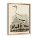 Familia Heron Iii - A. Wilson | Cuadro decorativo de Canvas Lab