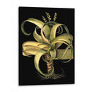 Aloe I (Lg) Dramático Personalizado - Basilius Besler | Cuadro decorativo de Canvas Lab