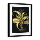 Aloe I (Lg) Dramático Personalizado - Basilius Besler | Cuadro decorativo de Canvas Lab