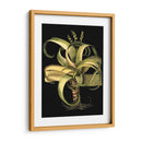 Aloe I (Lg) Dramático Personalizado - Basilius Besler | Cuadro decorativo de Canvas Lab