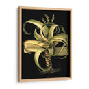 Aloe I (Lg) Dramático Personalizado - Basilius Besler | Cuadro decorativo de Canvas Lab