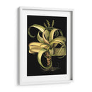 Aloe I (Lg) Dramático Personalizado - Basilius Besler | Cuadro decorativo de Canvas Lab