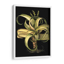 Aloe I (Lg) Dramático Personalizado - Basilius Besler | Cuadro decorativo de Canvas Lab
