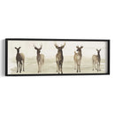 Linea De Ciervos I - Grace Popp | Cuadro decorativo de Canvas Lab