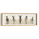 Linea De Ciervos I - Grace Popp | Cuadro decorativo de Canvas Lab