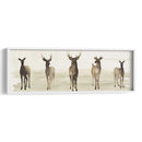 Linea De Ciervos I - Grace Popp | Cuadro decorativo de Canvas Lab