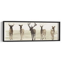 Línea De Ciervo Ii Ii - Grace Popp | Cuadro decorativo de Canvas Lab