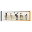 Línea De Ciervo Ii Ii - Grace Popp | Cuadro decorativo de Canvas Lab