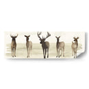 Línea De Ciervo Ii Ii - Grace Popp | Cuadro decorativo de Canvas Lab