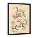 Rubor Rosa Floral Vi - John Miller | Cuadro decorativo de Canvas Lab