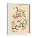 Rubor Rosa Floral Vi - John Miller | Cuadro decorativo de Canvas Lab