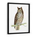 Morris Moteado Búho - Morris | Cuadro decorativo de Canvas Lab