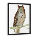 Morris Moteado Búho - Morris | Cuadro decorativo de Canvas Lab