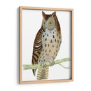 Morris Moteado Búho - Morris | Cuadro decorativo de Canvas Lab