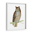 Morris Moteado Búho - Morris | Cuadro decorativo de Canvas Lab