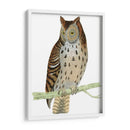 Morris Moteado Búho - Morris | Cuadro decorativo de Canvas Lab
