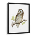 Morris Tengmalms Owl - Morris | Cuadro decorativo de Canvas Lab