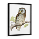 Morris Tengmalms Owl - Morris | Cuadro decorativo de Canvas Lab