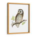 Morris Tengmalms Owl - Morris | Cuadro decorativo de Canvas Lab