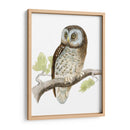 Morris Tengmalms Owl - Morris | Cuadro decorativo de Canvas Lab