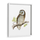 Morris Tengmalms Owl - Morris | Cuadro decorativo de Canvas Lab