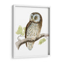 Morris Tengmalms Owl - Morris | Cuadro decorativo de Canvas Lab