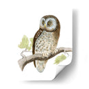 Morris Tengmalms Owl - Morris | Cuadro decorativo de Canvas Lab