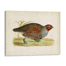 Morris Faisans I - Morris | Cuadro decorativo de Canvas Lab