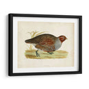 Morris Faisans I - Morris | Cuadro decorativo de Canvas Lab