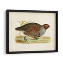 Morris Faisans I - Morris | Cuadro decorativo de Canvas Lab